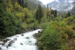 Resize of IMG_0293.JPG