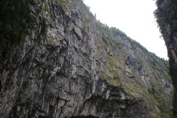 Resize of IMG_0324.JPG