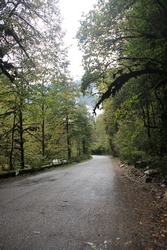 Resize of IMG_0329.JPG