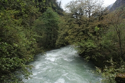 Resize of IMG_0337.JPG