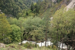 Resize of IMG_0340.JPG