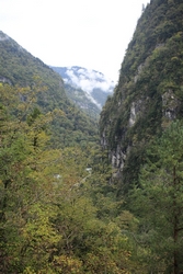 Resize of IMG_0347.JPG