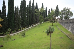 Resize of IMG_0421.JPG