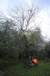 Resize of IMG_0461.JPG