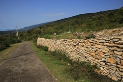 Resize of IMG_0484.JPG
