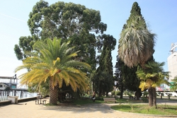 Resize of IMG_0510.JPG