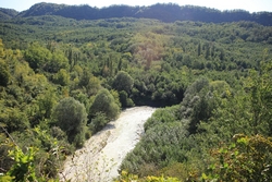 Resize of IMG_0521.JPG