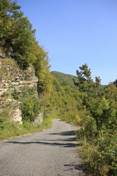 Resize of IMG_0523.JPG
