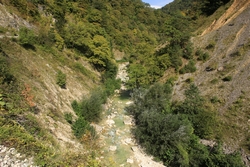Resize of IMG_0530.JPG