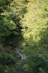Resize of IMG_0534.JPG