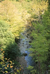Resize of IMG_0536.JPG