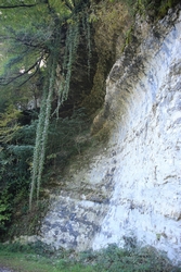 Resize of IMG_0545.JPG