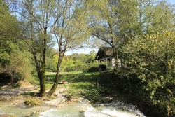 Resize of IMG_0554.JPG