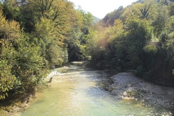 Resize of IMG_0555.JPG