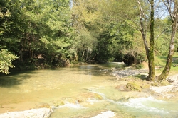Resize of IMG_0556.JPG