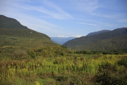 Resize of IMG_0562.JPG