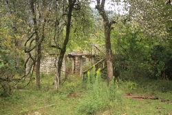 Resize of IMG_0695.JPG
