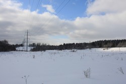 Resize of IMG_3777.JPG