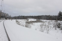 Resize of IMG_3784.JPG