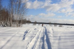 Resize of IMG_3786.JPG