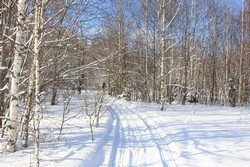 Resize of IMG_3790.JPG