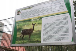 Resize of IMG_4533.JPG