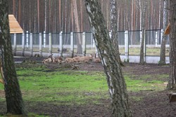 Resize of IMG_4534.JPG