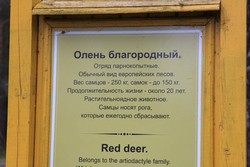 Resize of IMG_4535.JPG
