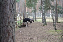 Resize of IMG_4536.JPG