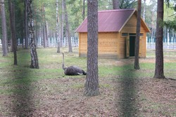 Resize of IMG_4538.JPG