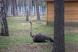 Resize of IMG_4539.JPG