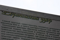 Resize of IMG_4540.JPG