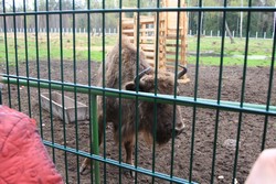 Resize of IMG_4546.JPG