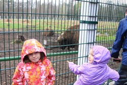 Resize of IMG_4548.JPG