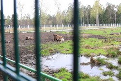 Resize of IMG_4555.JPG