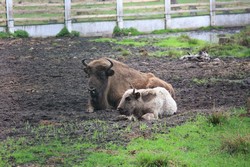 Resize of IMG_4556.JPG