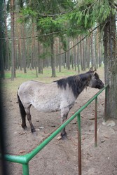 Resize of IMG_4571.JPG
