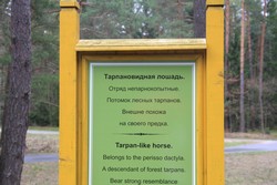 Resize of IMG_4581.JPG
