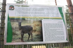 Resize of IMG_4583.JPG