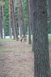 Resize of IMG_4589.JPG