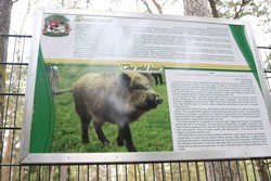 Resize of IMG_4594.JPG