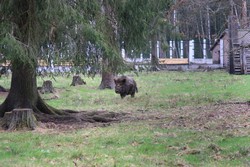 Resize of IMG_4600.JPG