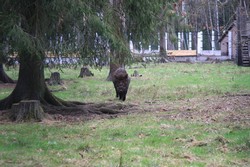 Resize of IMG_4601.JPG