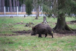 Resize of IMG_4602.JPG