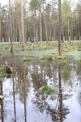 Resize of IMG_4609.JPG