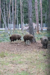 Resize of IMG_4611.JPG