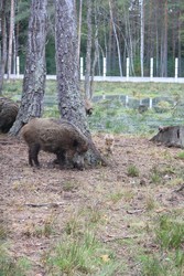 Resize of IMG_4624.JPG