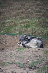 Resize of IMG_4633.JPG