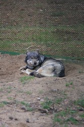 Resize of IMG_4634.JPG