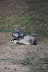Resize of IMG_4635.JPG